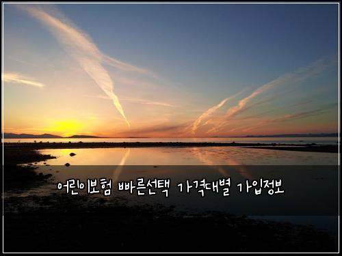 어린이보험 빠른선택  가격대별 가입정보