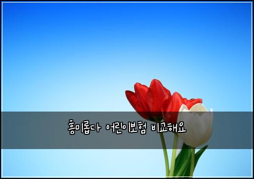 ํฅ๋ฏธ๋กญ๋ค ์ด๋ฆฐ์ด๋ณดํ ๋น๊ตํด์