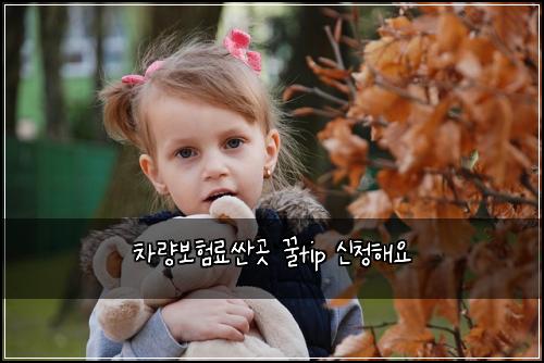 차량보험료싼곳 꿀tip 신청해요