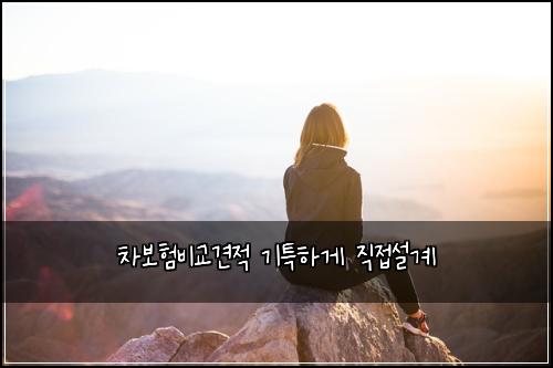 차보험비교견적 기특하게 직접설계