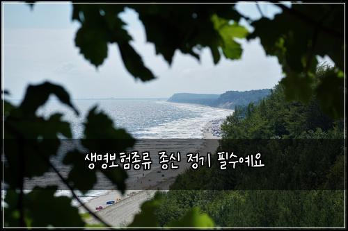 생명보험종류 종신 정기 필수예요