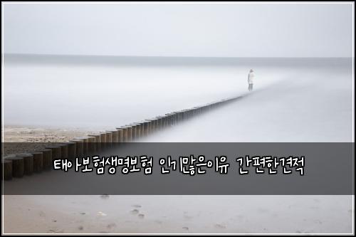 태아보험생명보험 인기많은이유 간편한견적