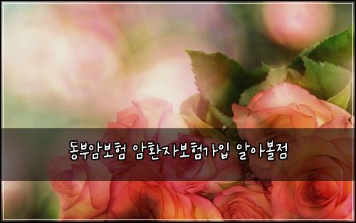 ๋๋ถ์๋ณดํ ์ํ์๋ณดํ๊ฐ์
์์๋ณผ์ 