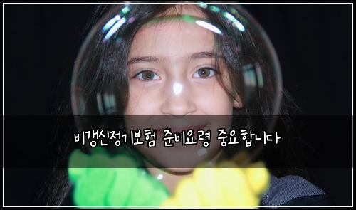 비갱신정기보험 준비요령  중요합니다