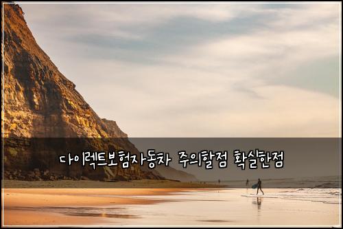 다이렉트보험자동차 주의할점 확실한점