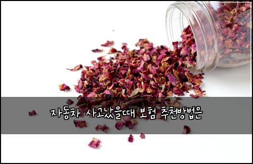 자동차 사고났을때 보험 추천방법은 