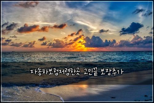 ์๋์ฐจ๋ณดํ์ ๋ ดํ๊ณณ ๊ณ ๋ฏผ๋ ๋ณด์ฅ์ถ๊ฐ