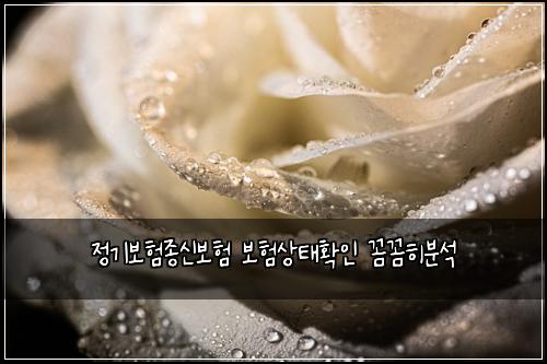 ์ ๊ธฐ๋ณดํ์ข
์ ๋ณดํ ๋ณดํ์ํํ์ธ ๊ผผ๊ผผํ๋ถ์