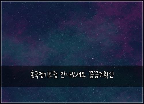 흥국정기보험 만나보셔요  꼼꼼히확인
