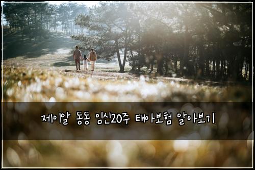 제이알 동동 임신20주 태아보험 알아보기