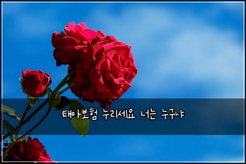 ํ์๋ณดํ ๋๋ฆฌ์ธ์ ๋๋ ๋๊ตฌ๋