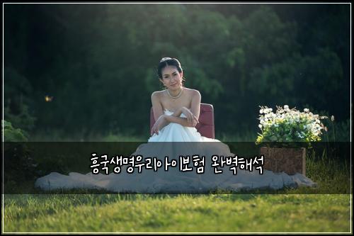 ํฅ๊ตญ์๋ช
์ฐ๋ฆฌ์์ด๋ณดํ ์๋ฒฝํด์