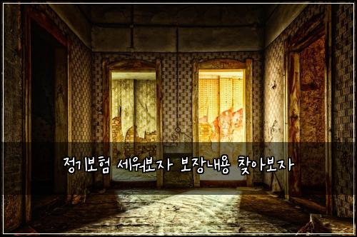정기보험 세워보자  보장내용 찾아보자