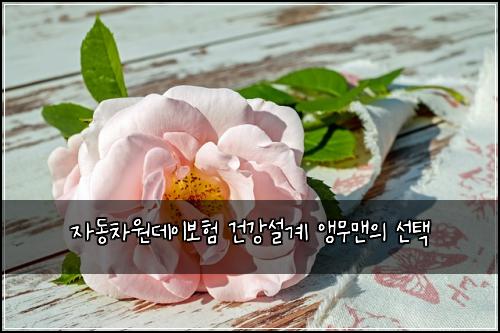 μλμ°¨μλ°μ΄λ³΄ν 건κ°μ€κ³ μ΅λ¬΄λ§¨μ μ ν