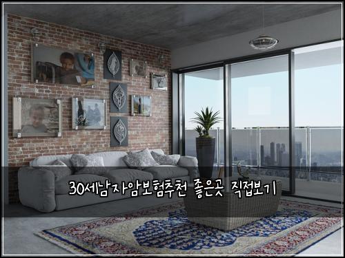 30세남자암보험추천 좋은곳 직접보기