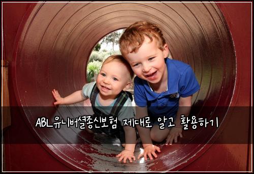 ABL유니버셜종신보험 제대로 알고 활용하기
