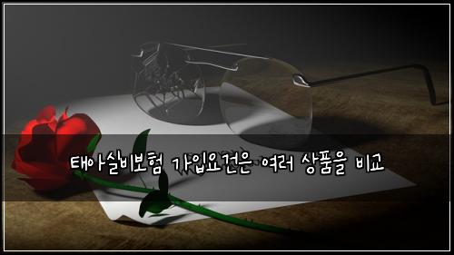 태아실비보험 가입요건은  여러 상품을 비교