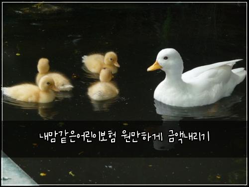 내맘같은어린이보험 원만하게  금액내리기