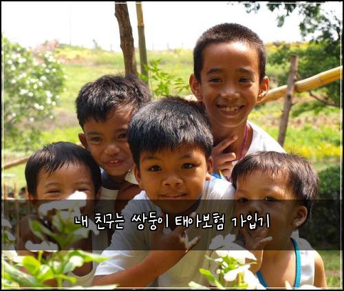 내 친구는 쌍둥이 태아보험 가입기