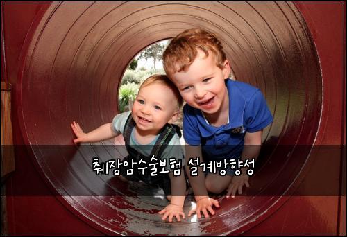 췌장암수술보험 설계방향성 