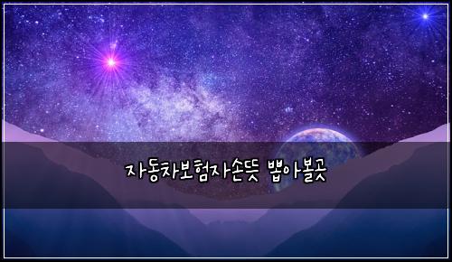 자동차보험자손뜻 뽑아볼곳