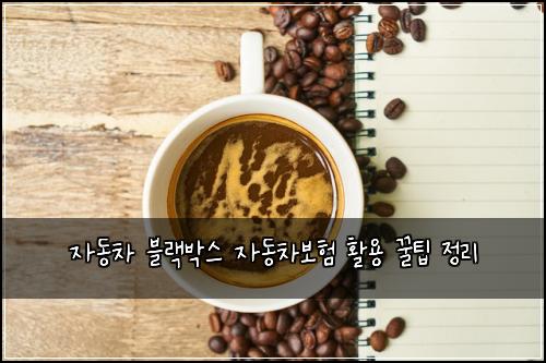 자동차 블랙박스 자동차보험 활용 꿀팁 정리