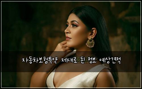 자동차보험특약 제대로 된 정보 예상견적