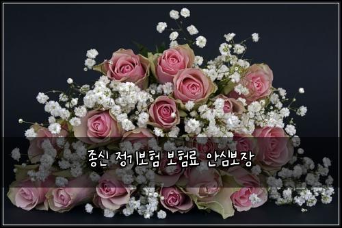종신 정기보험 보험료 안심보장