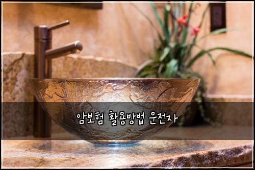 암보험 활용방법  운전자