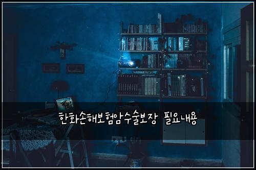 한화손해보험암수술보장 필요내용
