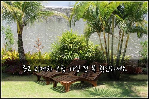 중고 외제차 보험 가입 전 꼭 확인하세요
