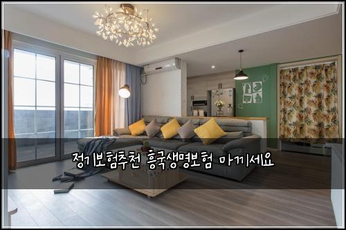 정기보험추천 흥국생명보험 마끼세요