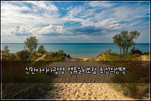 ์ ํ์์ด์ฌ๋๋ช
๋งฅ๋ฅ์ค๋น๋ณดํ ์ต์ ์์ ํ