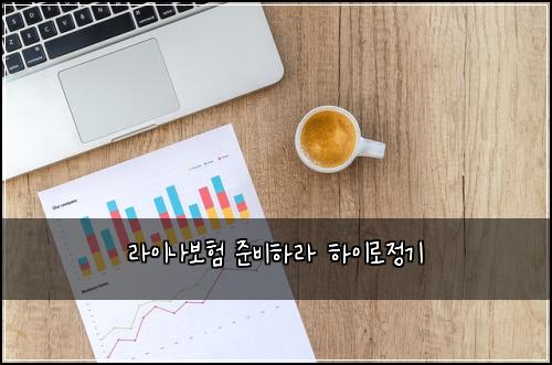 라이나보험 준비하라  하이로정기