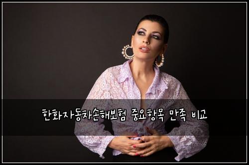 한화자동차손해보험 중요항목  만족 비교