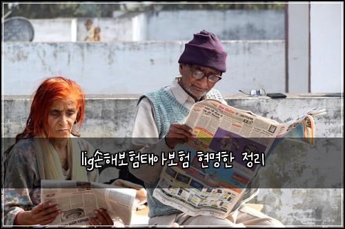 lig손해보험태아보험 현명한 정리