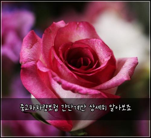 ์ค๊ณ ์ฐจ์ฐจ๋๋ณดํ ๊ฐ๋จ๊ณ์ฐ ์์ธํ ์์๋ณด์ฃ