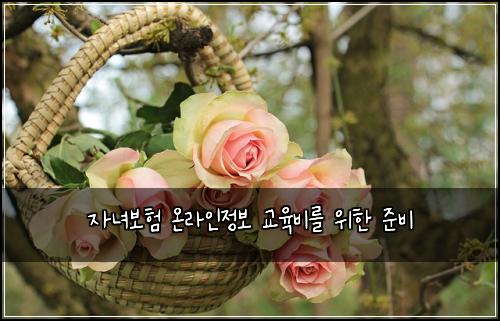์๋
๋ณดํ ์จ๋ผ์ธ์ ๋ณด ๊ต์ก๋น๋ฅผ ์ํ ์ค๋น