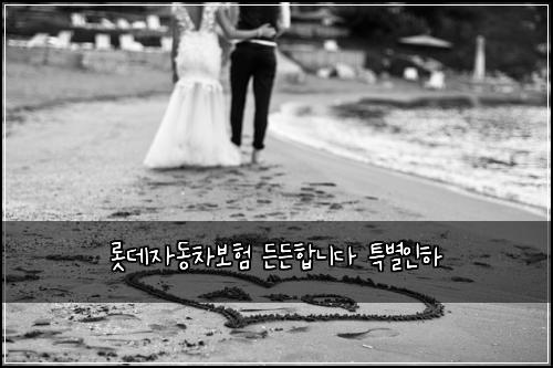 롯데자동차보험 든든합니다  특별인하
