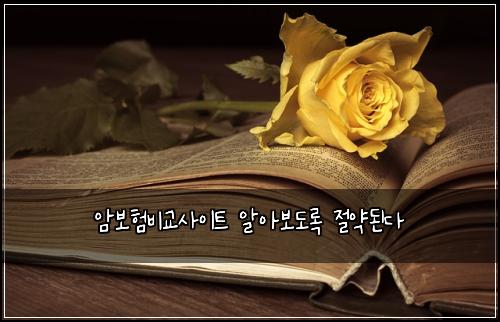 암보험비교사이트 알아보도록 절약된다