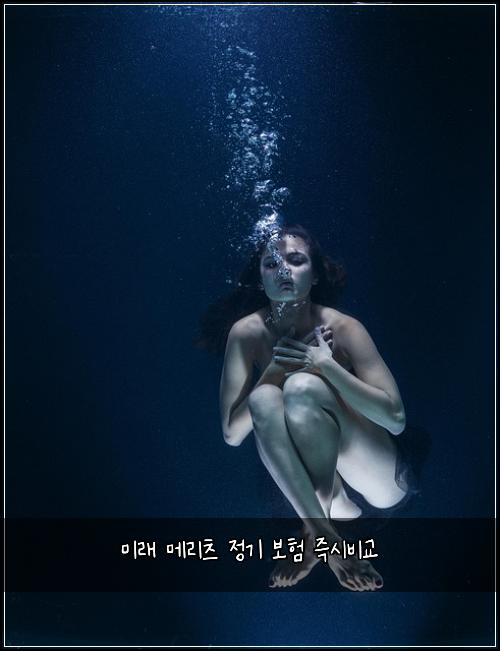 미래 메리츠 정기 보험 즉시비교 