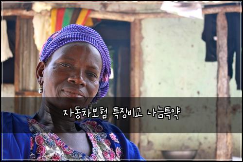 자동차보험 특징비교  나늠특약