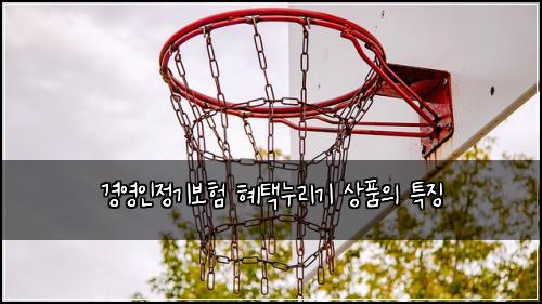 경영인정기보험 혜택누리기  상품의 특징