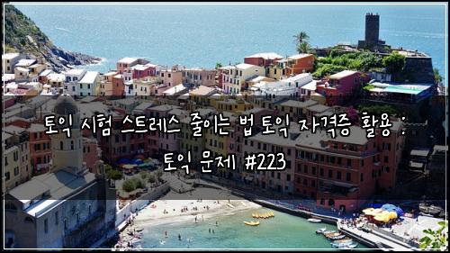 토익 시험 스트레스 줄이는 법 토익 자격증 활용 : 토익 문제 #223