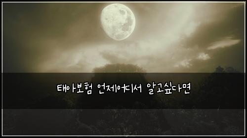 태아보험 언제어디서  알고싶다면