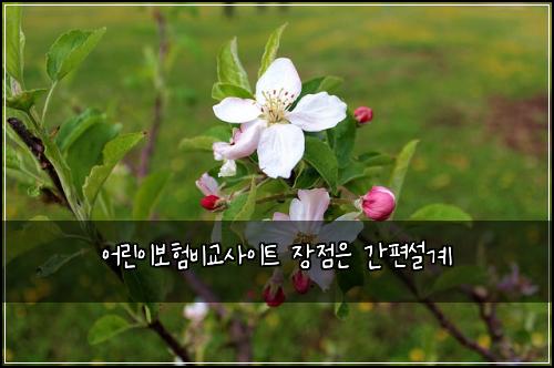 어린이보험비교사이트 장점은 간편설계