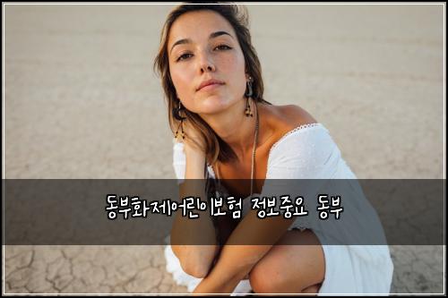 동부화제어린이보험 정보중요  동부