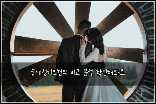 늘애정기보험의 비교 분석 확인해봐요