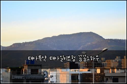 태아특약 태아실비보험 꼼꼼노하우 