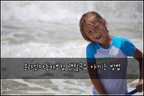 온라인자동차보험 괜찮군요  아끼는 방법